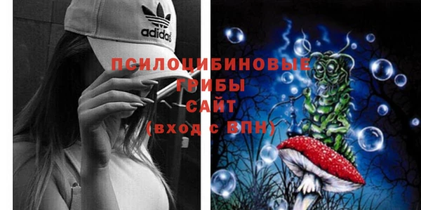 дживик Киреевск