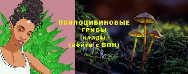 дживик Киреевск