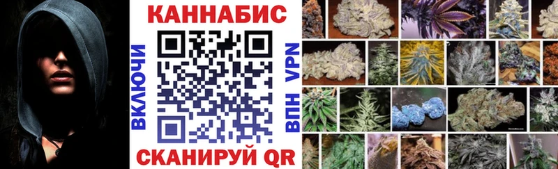 Купить закладки  Ахтубинск  Марихуана сатива 